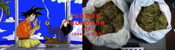ГАЛЛЮЦИНОГЕННЫЕ ГРИБЫ Баксан